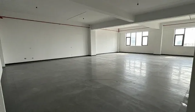 种苗供应选型中需关注的性能与适用条件