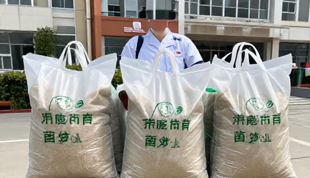 优质种苗包适用场景及使用限制分析